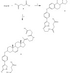 Figure 6: Preparation of twocarboxyl-propionylamino-steroid- succinamic acids (14 or 15). Reaction of 11 or 12with succinic acid usinga carbodiimidederivative as catalyst (vi).