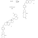 Figure 7: Preparation of two pyrrolo-steroid-triazecin-oxobutanoic acids complex (16 or 17) via ciclization of 14 or 15in presence of a carbodiimidederivative (Method A) or boric acid (Method B).