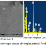 Figure 3: Microscopic picture of complex mineral fertilizer