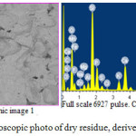 Figure 4: Microscopic photo of dry residue, derived after filtration