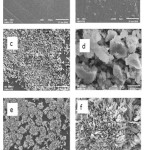 Figure 3: Scanning electron micrographs of chitosan (a,b), eggshell particles (c,d), and epichlorohydrin crosslinked chitosan/eggshell composite (e,f) 
