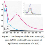 Fig. 1. The absorption of the plant extract (A), pure AgNO3 solution (B), and a sample of AgNPswith reaction time of 4 h (C)
