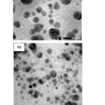 Fig.3. TEM images of the AgNPs at different solvents, a) in aqueous solution, b) Isopropanol solution
