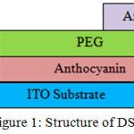 Figure 1: Structure of DSSC