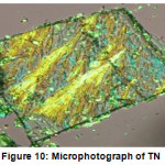Figure 10: Microphotograph of TN 