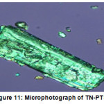 Figure 11: Microphotograph of TN-PTSA