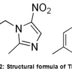 Figure 2: Structural formula of TN-PTSA