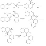 Figure 1: plausible mechanism for the formation of 14-Aryl-14H-dibenzo[a,j]xanthenes