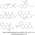 Figure 2: plausible mechanism for the formation of 12-aryl-8, 9, 10, 12-tetrahydrobenzo[a]xanthene-11-one