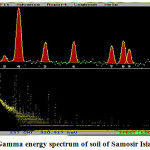 Figure 2: Gamma energy spectrum of soil of Samosir Island sample