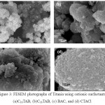 Figure 3: FESEM photographs of Titania using cationic surfactants,  (a)C16TAB, (b)C18TAB, (c) BAC, and (d) CTACl