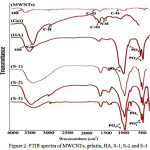 Figure 2: FTIR spectra of MWCNTs, gelatin, HA, S-1, S-2 and S-3