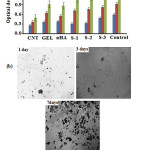 Figure 5 a: Cell proliferation of MSCs on MWNTs, gelatin, HA and nanocomposites by MTT assay and (b) optical microscopic image of S-3 after in vitro culture for 1, 3 and 7 days.