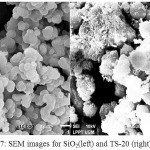 Figure 7 SEM images for SiO2(left) and TS-20 (right)