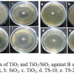 Figure 8: Zone inhibition of TiO2 and TiO2/SiO2 against B subtilis (I) and E coli (II) a. Blank, b. SiO2, c. TiO2, d. TS-10, e. TS-20, f. TS-30