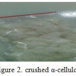 Figure 2: crushed α-cellulose