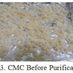 Figure 3: CMC Before Purification