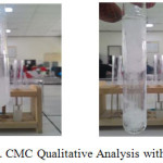 Figure 5: CMC Qualitative Analysis with Acetone