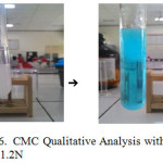 Figure 6: CMC Qualitative Analysis with CuSO4 1.2N