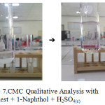 Figure 7: CMC Qualitative Analysis with  Aquadest + 1-Naphthol + H2SO4(c)