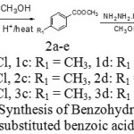Scheme 1: Synthesis of Benzohydrazide from substituted benzoic acid
