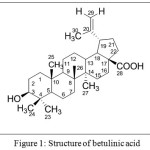 Figure 1: Structure of betulinic acid