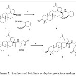Scheme 2:  Synthesis of  betulinic acid-g-butyrolactone analogs 
