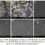 Figure 3: SEM micrographs of ZnO (a), APTMS-ZnO (b), PGU (c), PGU-1 % APTMS-ZnO (d), PGU-1.5 % APTMS-ZnO (e), PG U-2 % APTMS-ZnO (f) hybrid films33