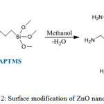Scheme 2: Surface modification of ZnO nanoparticles