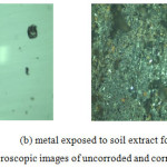 Figure 3: Optical microscopic images of uncorroded and corroded specimens