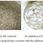 Figure 4: Fresh geopolymer concrete with the addition of (a)CTAB (b) AG