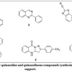 Figure 1: Some quinazoline and quinazolinone compounds synthesized by catalytic support.