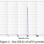 Figure 2.  Size (DLS) of nZVI powder