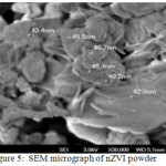 Figure 5.  SEM micrograph of nZVI powder