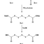 Scheme 1: Synthesis of diacid derivatives