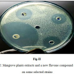 Figure 2: Mangrove plants extracts and a new flavone compound activity on some selected strains