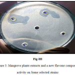 Figure 3: Mangrove plants extracts and a new flavone compound activity on some selected strains
