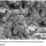 Figure 2: SEM analyses of ZnS nanoparticles using leaf extract Tridaxprocumbens