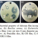 Fig. 4: Qualitative antibacterial property of chitosan film incorporated norfloxacinagaints (a) Staphylococcus aureus, (b) Bacillus cereus, (c) Escherichia coli and (d) Klebsiellapneumoniae. The chitosan films were cut into 6 mm diameter and placed on Muller Hinton agar and labeled as follow; A) Penicillin disc, B) CH film, C) CH-NOR0.1 film, D) CH-NO1.0 film, and E) CH-NOR5.0 film.