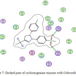 Figure 7: Docked pose of cyclooxygenase enzyme with Celecoxib (2D).