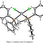 Figure 1: synthesis route of complexes