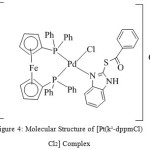 Figure 4: Molecular Structure of [Pt(k2-dppmCl)Cl2] Complex