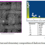 Figure 5: Electron picture and elementary composition of dark sections of sample surface.