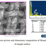 Figure 6: Electron picture and elementary composition of illuminated sections of sample surface