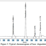 Figure 3: Typical chromatogram of base  degradation