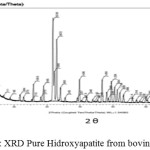 Figure 1: XRD Pure Hidroxyapatite from bovine bone
