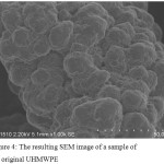 Figure 4: The resulting SEM image of a sample of the original UHMWPE