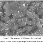Figure 5: The resulting SEM image of a sample of UHMWPE filer containing nanoparticles of titanium oxide