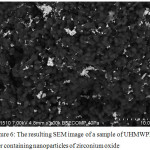 Figure 6: The resulting SEM image of a sample of UHMWPE filer containing nanoparticles of zirconium oxide