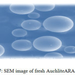 Figure 7: SEM image of fresh Auchlite ARA-9366